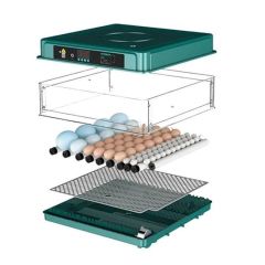 BUFFER® Tavuk, Kaz, Ördek, Bıldırcın Yumurtaları İçin Tam Otomatik Kuluçka Makinesi