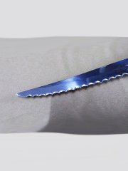 Steak Biftek Bıçağı Tırtıklı Bıçak Toplam Uzunluk 22 cm
