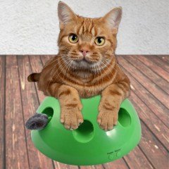 BUFFER® 360 Derece Dönebilen Değiştirilebilir İki Aparatlı Catch The Mouse Fare Yakalama Oyuncağı