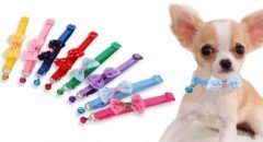 Papyon Tasarımlı Kedi Köpek Tasması