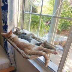 BUFFER® Cama Pencereye Asılan Vantuzlu Kedi Yatağı Cam Önü Kedi Hamağı