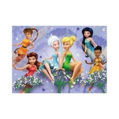 100 Parça Fairies Yapboz FA 714