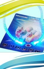 BUFFER® Mavi Neon Led Işıklı 12.5 cm Gece Kedi Köpek Gezdirme Kolyesi