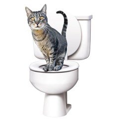 BUFFER® CitiKitty- Kedi Klozet Eğitim Seti