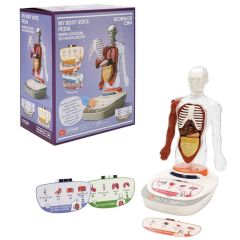 S00005280 BİLİM SET İNSAN VÜCUDU MODELİ 23PRÇ -SUN