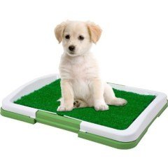 BUFFER® Yavru Köpek Lazımlık