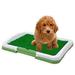 BUFFER® Yavru Köpek Lazımlık