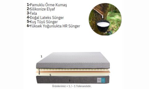 Latte 160*200 cm Çift Kişilik Başlıklı Baza Seti