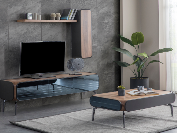 Tual TV Ünitesi