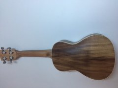 Puka Koa Concert Ukulele PK24 (Kılıflı)