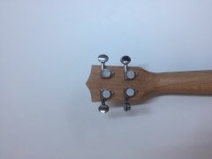 Puka Koa Concert Ukulele PK24 (Kılıflı)