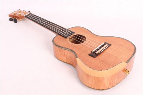 Champes 2980-21'' Soprano Ukulele Kılıf ve Askı Hediyeli