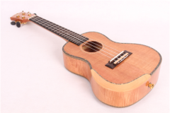 Champes 2980-21'' Soprano Ukulele Kılıf ve Askı Hediyeli