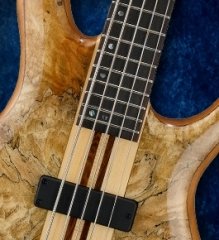 CORT A5CUSTOM SPN ATW BAS GİTAR 5 TELLİ,  NATÜREL PARLAK, KILIFLI, MANYETİKLER: Bartolini Custom MK4CBC