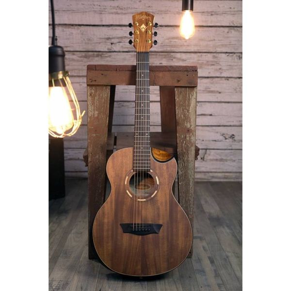Washburn wcgm55k online