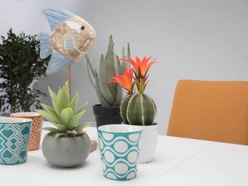 2025 Boston Masa Sandalye Takımı