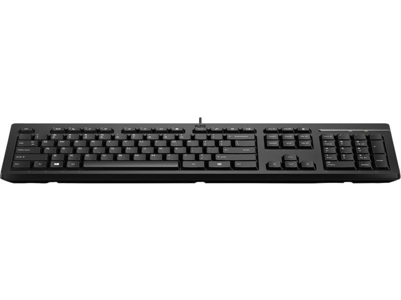 HP 125 WİRED KEYBOARD (266C9AA)