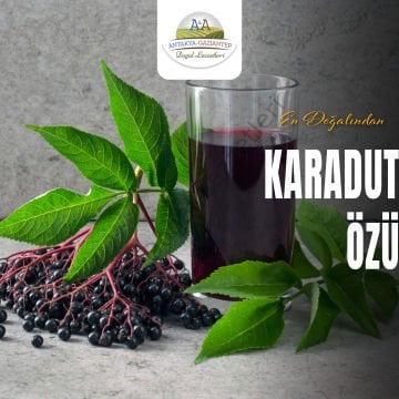 Karadut Özü