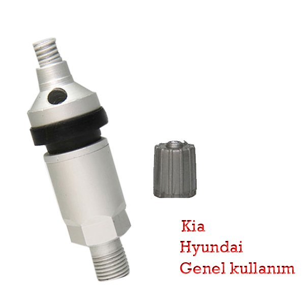 TPMS 10 Metal Sibop