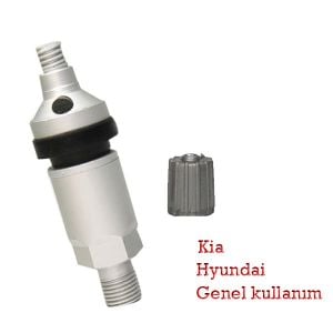 TPMS 10 Metal Sibop