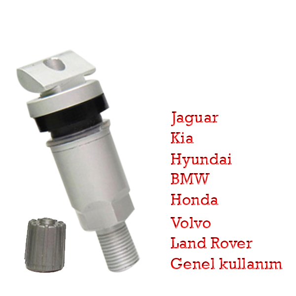 TPMS 11 Metal Sibop