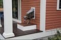 Köpek Kapıları Modelleri ve Fiyatları | Köpeğiniz İçin Özgürlük ve Güvenlik