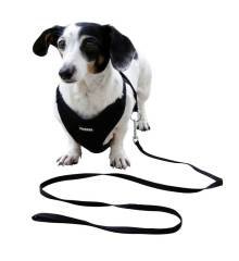 Yavru Köpek Göğüs Tasması Siyah 30 cm - 50 cm