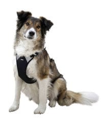 Göğüs Tasması Köpek 72 cm - 96 cm Siyah