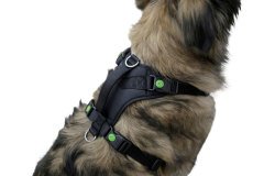 Göğüs Tasması Köpek 72 cm - 96 cm Siyah