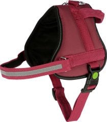 Köpek Belden Tasma Maestro 2.0 Bordo 45 - 60 cm