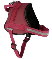 Köpek Belden Tasma Maestro 2.0 Bordo 45 - 60 cm