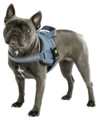 Belden Köpek Tasması Maestro 2.0 M  57-77 cm x 20 mm