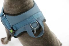 Belden Köpek Tasması Maestro 2.0 XL 72-103 cm x 30 mm