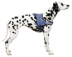 Belden Köpek Tasması Maestro 2.0 XL 72-103 cm x 30 mm