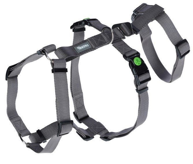 Köpek Sırt Tasması Kaçış Önleyici  48cm - 70cm