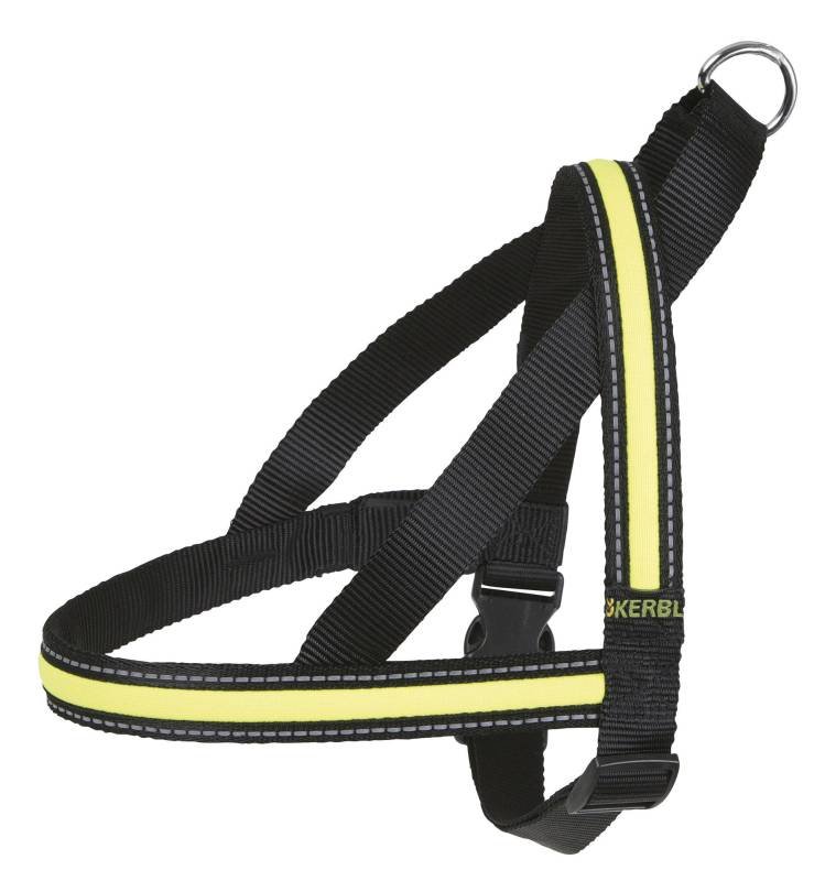 Işıklı Köpek Tasması [Bel Tasması]