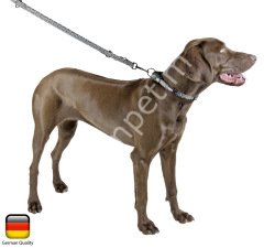 Boyun Tasması Fosforlu 25 - 40 cm
