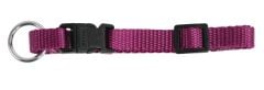 Mor Köpek Tasması 45-65 cm, 25 mm