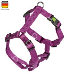 Gövde Tasması Mor Miami 55 – 76 cm, 20 mm