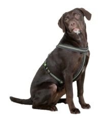 Köpek Sırt Tasması 50- 80 cm, 25 mm - XL