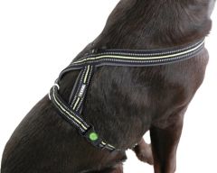 Köpek Sırt Tasması 40 - 60 cm, 20 mm - L