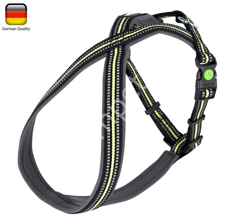 Köpek Sırt Tasması 40 - 60 cm, 20 mm