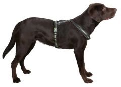 Köpek Sırt Tasması 40 - 60 cm, 20 mm - L
