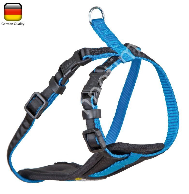 Küçük Köpek Tasması Small Dog Mavi 33 cm - 46 cm