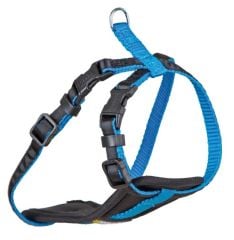 Küçük Köpek Tasması Small Dog Mavi 33 cm - 46 cm