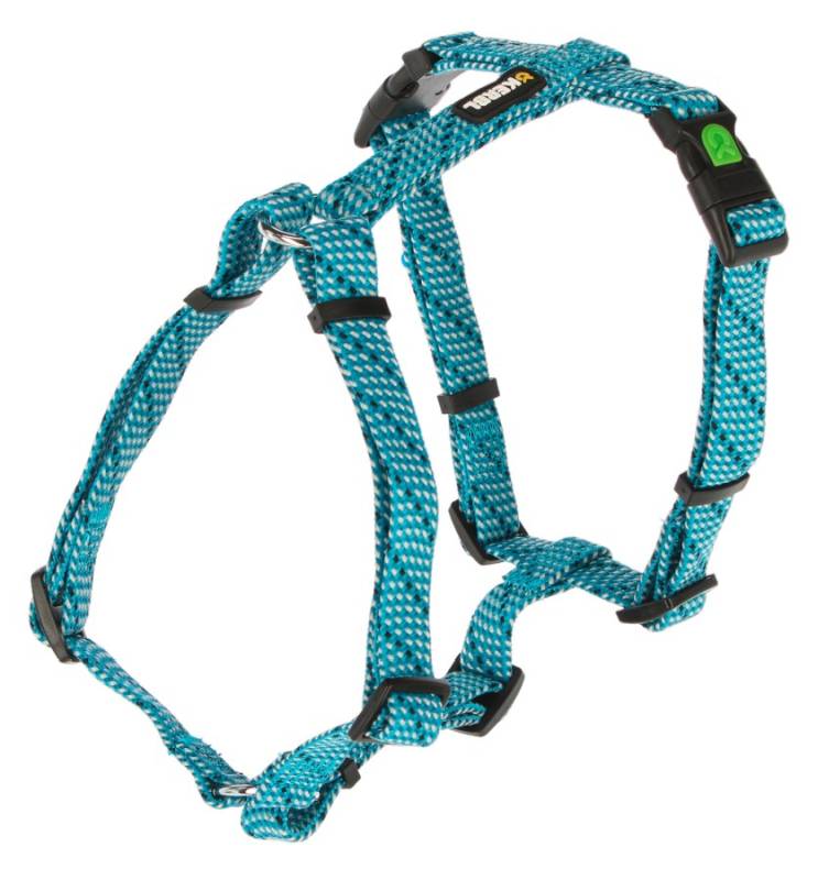 Bel Tasması Köpek Colorado Turkuaz 55 - 76 cm
