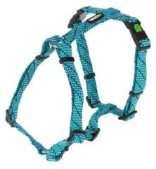 Bel Tasması Köpek Colorado Turkuaz 55 - 76 cm