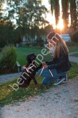 Reflektörlü Köpek Boyun Tasması 40 - 55 cm