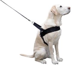 Köpek Bel Tasması Siyah [Norveç Tipi] 70 - 90cm - L