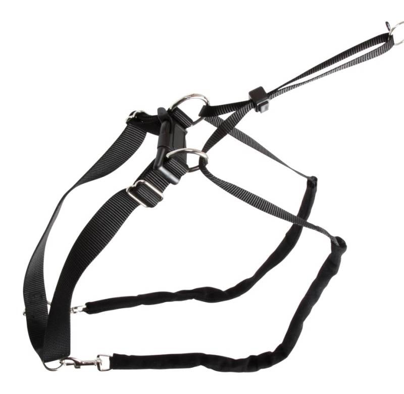 Köpek Eğitim Tasması 55 cm - 80 cm - XL